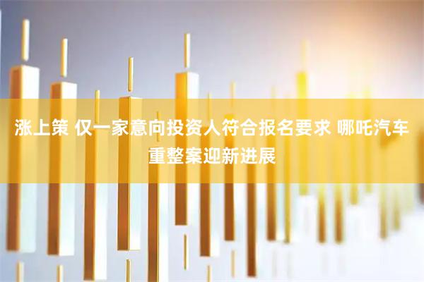 涨上策 仅一家意向投资人符合报名要求 哪吒汽车重整案迎新进展