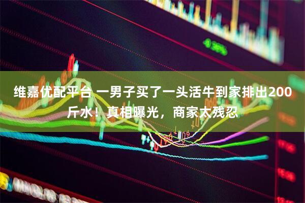 维嘉优配平台 一男子买了一头活牛到家排出200斤水！真相曝光，商家太残忍