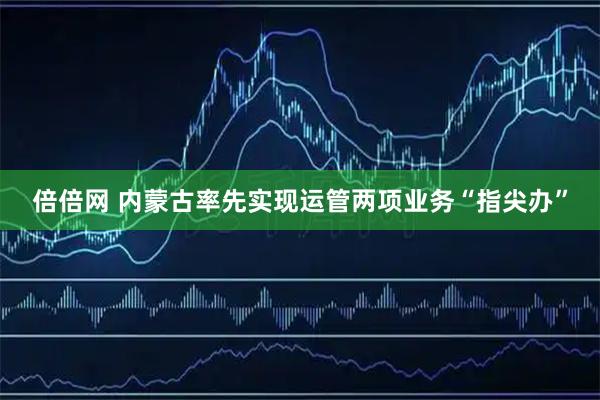 倍倍网 内蒙古率先实现运管两项业务“指尖办”